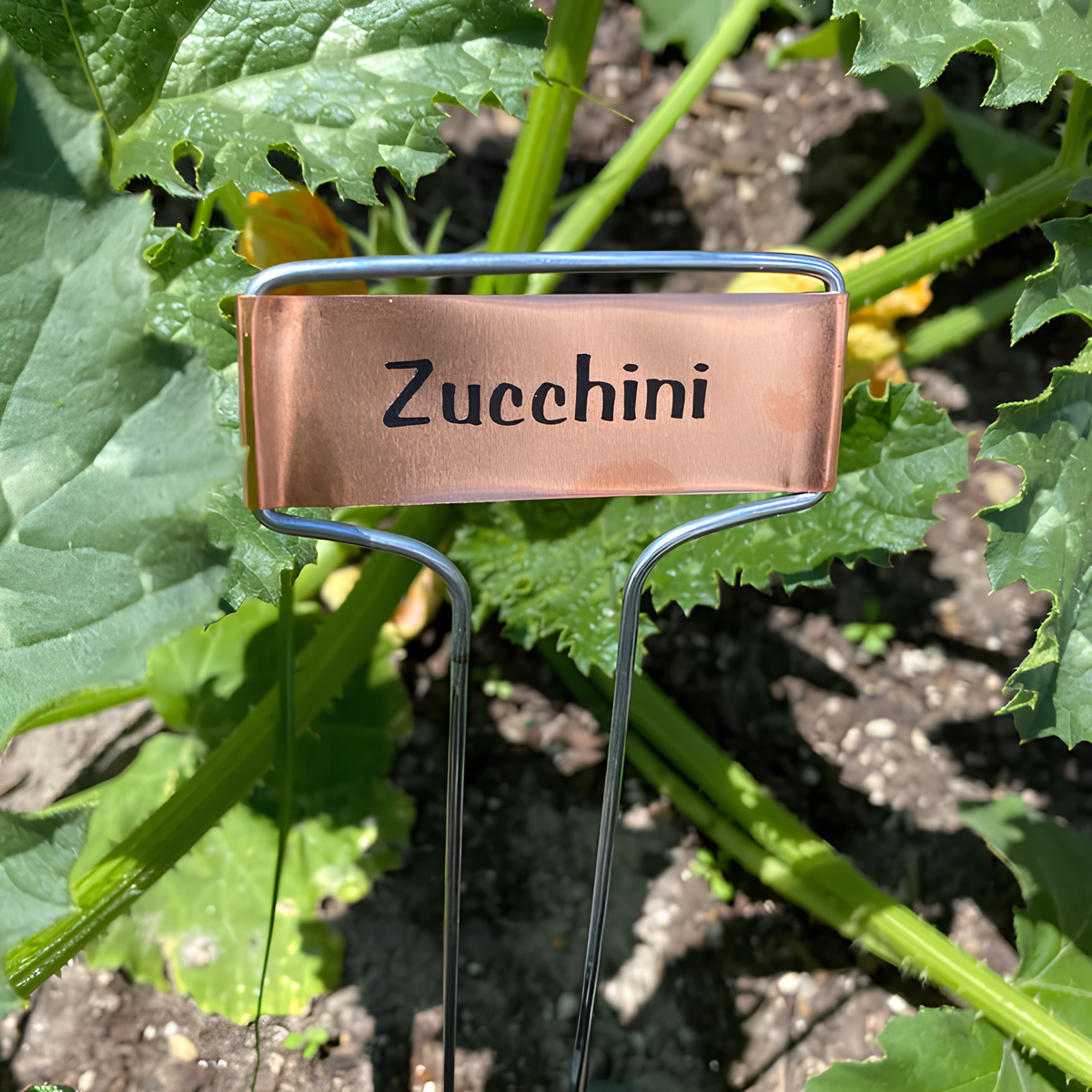 best plant labels 