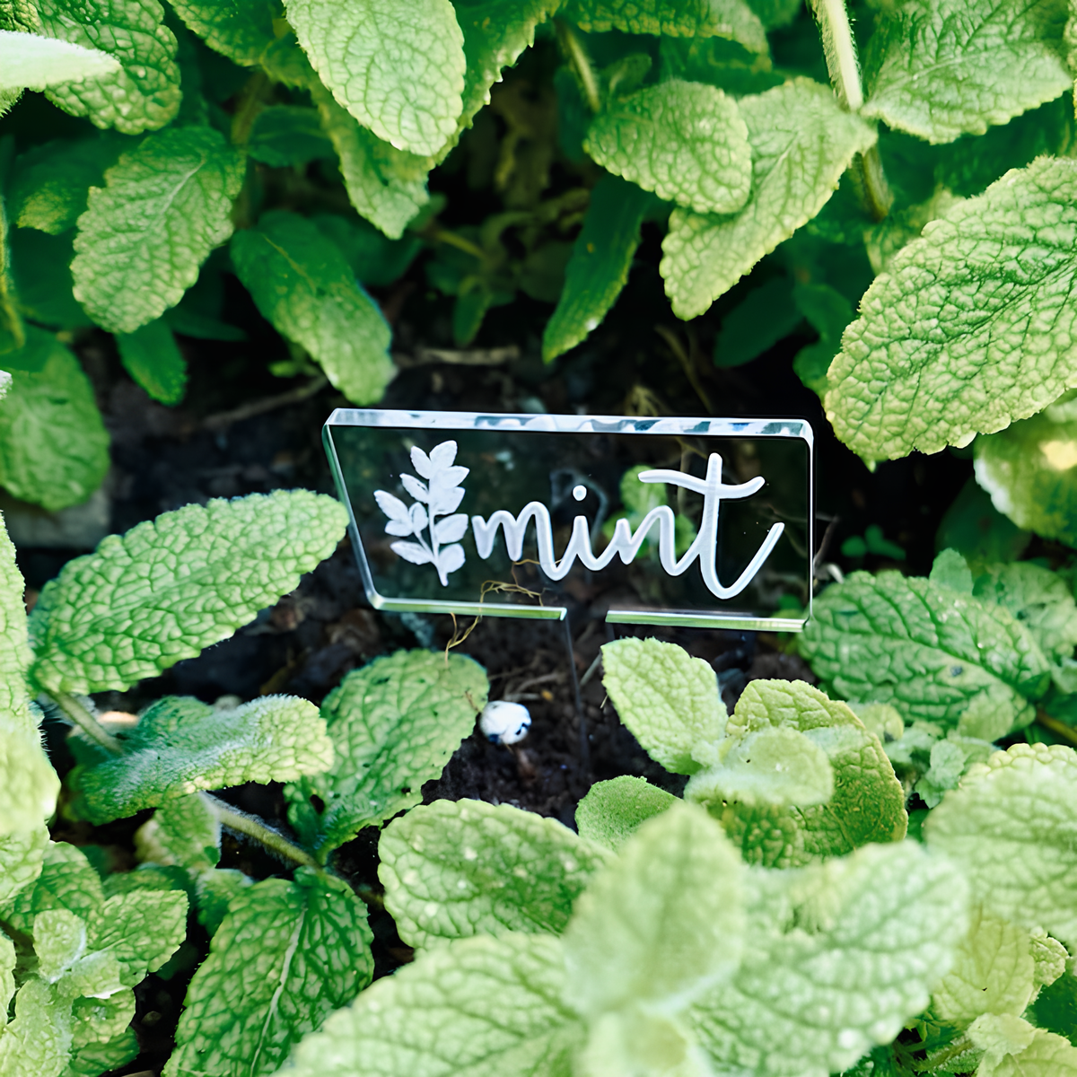 top plant labels 