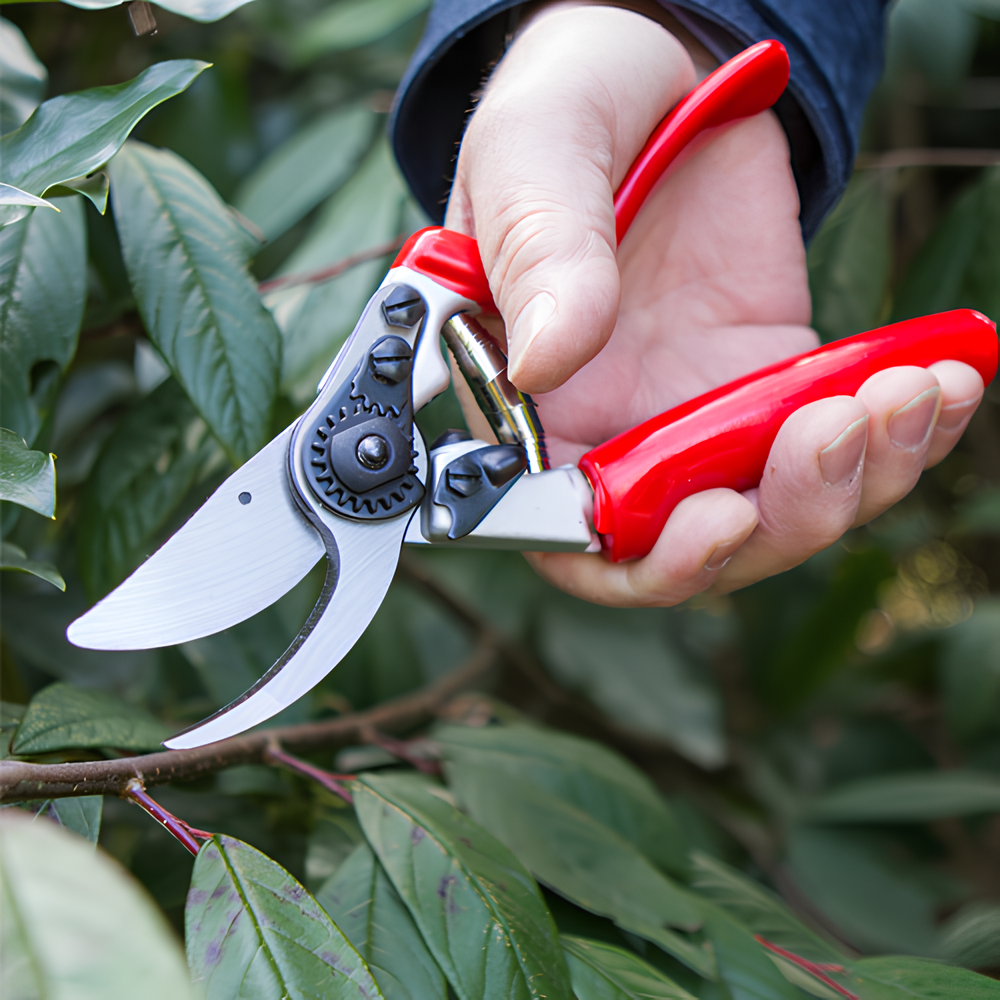 amazon free gardening gloves 