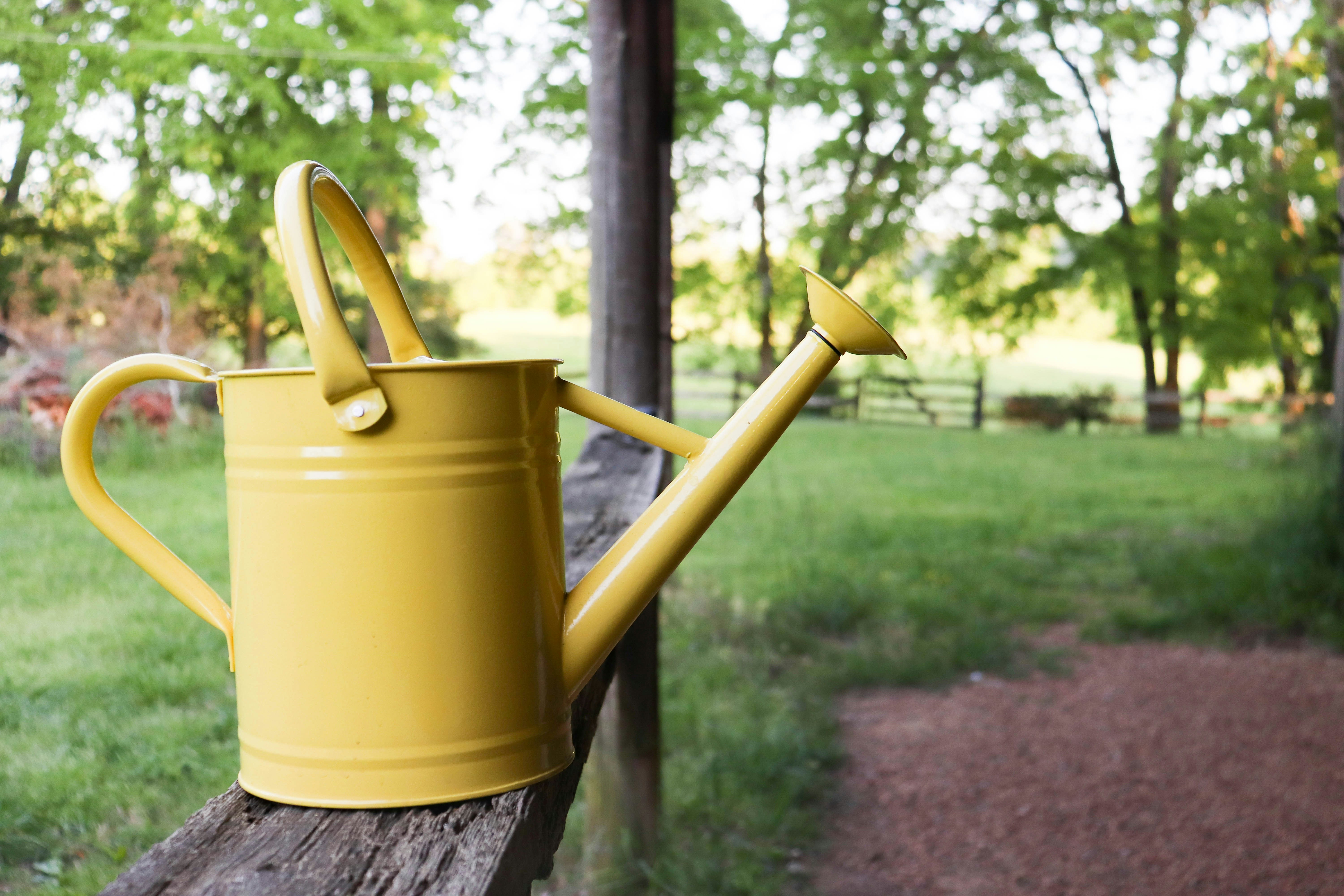 watering can for gardening 