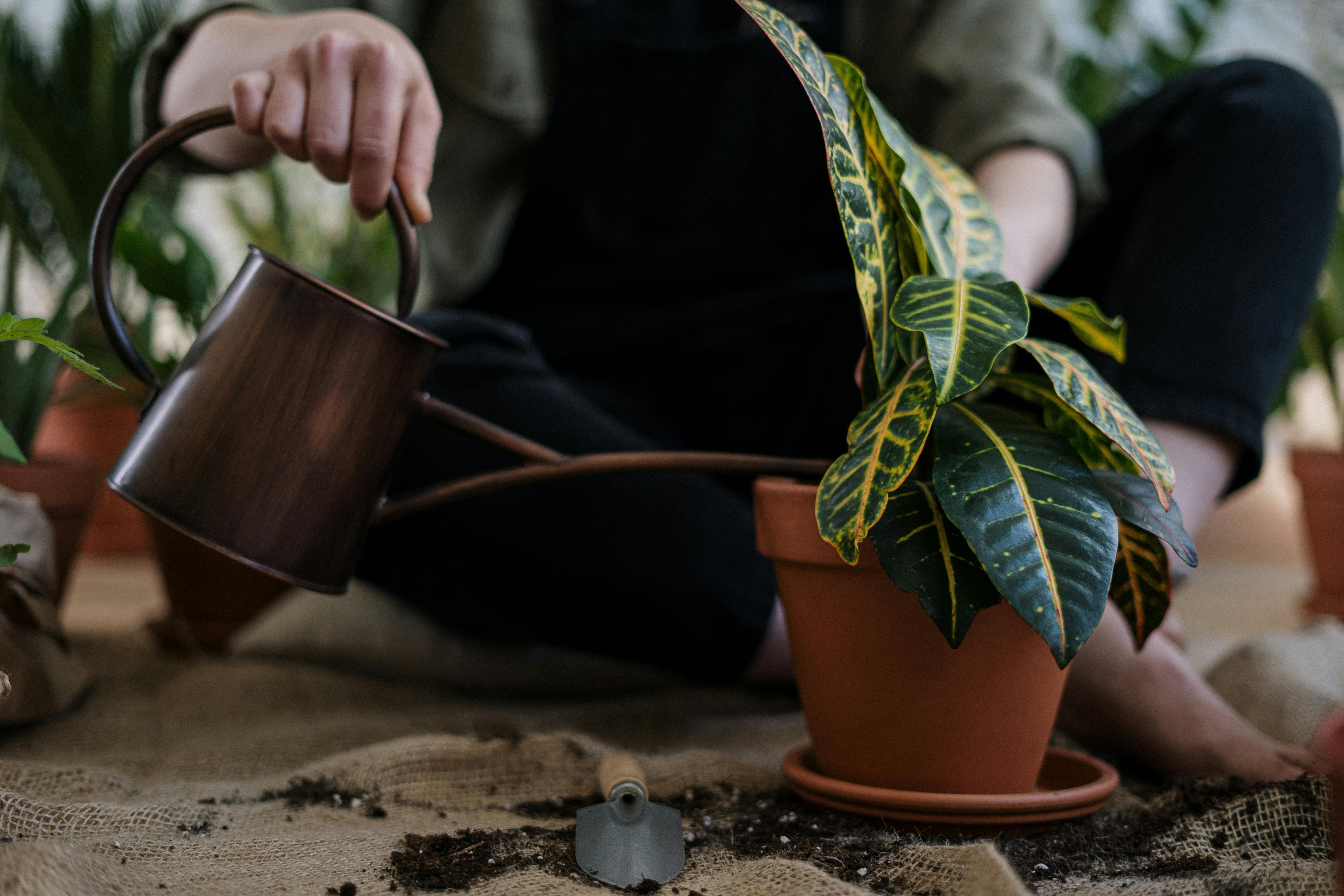 how to use watering can 