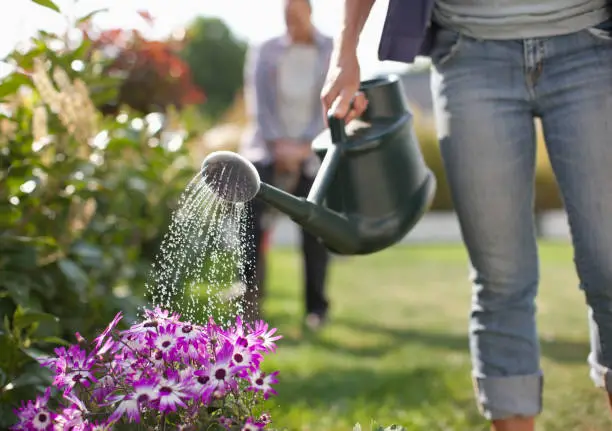 Top Brands watering can images 